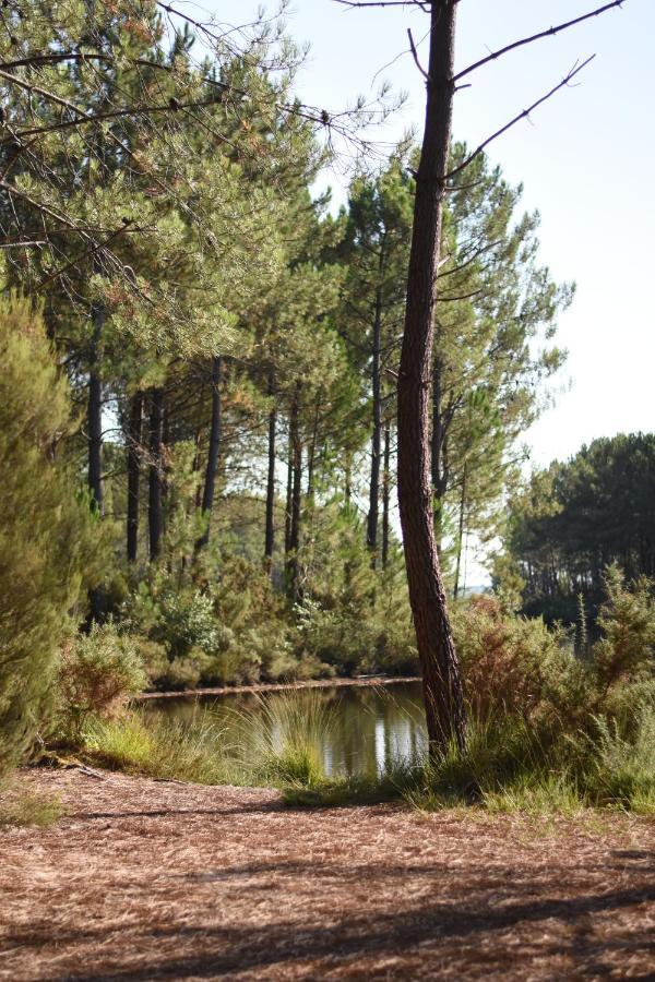 La Cachette Du Lac Лаканау Екстериор снимка